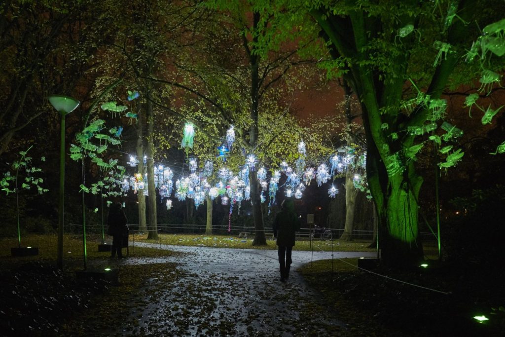 Kroonlichters, Glow 2015 Foto Claus Langer